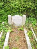 image of grave number 419826